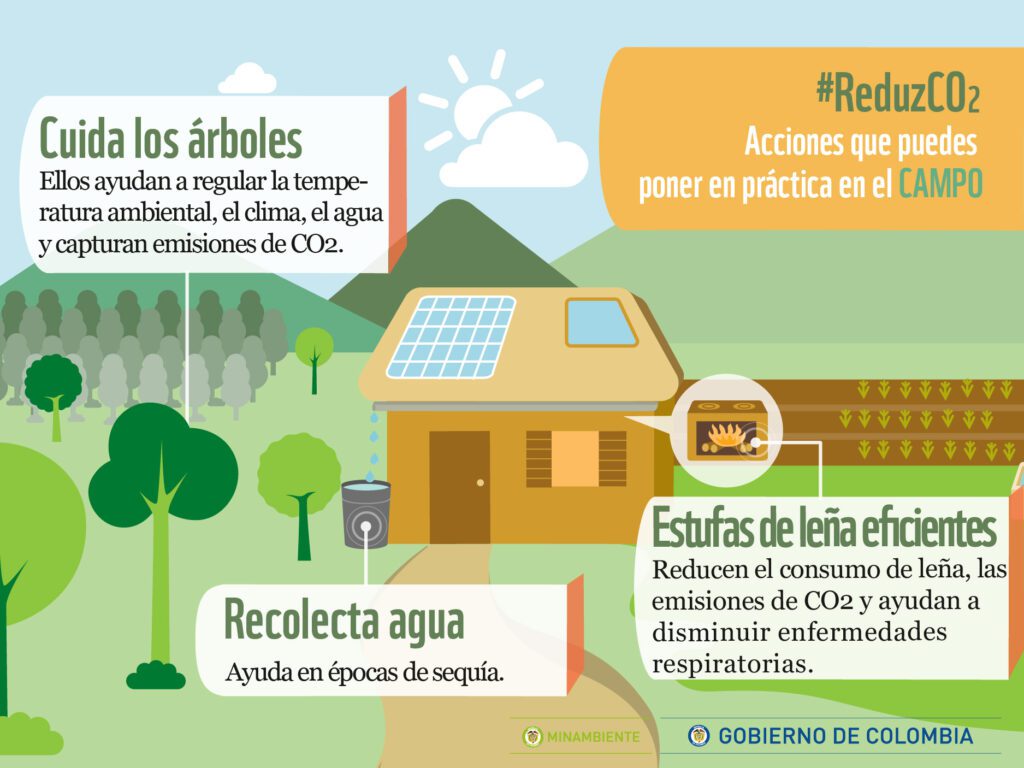 Cómo influyen tus acciones diarias en el impacto ambiental 7 Cómo influyen tus acciones diarias en el impacto ambiental