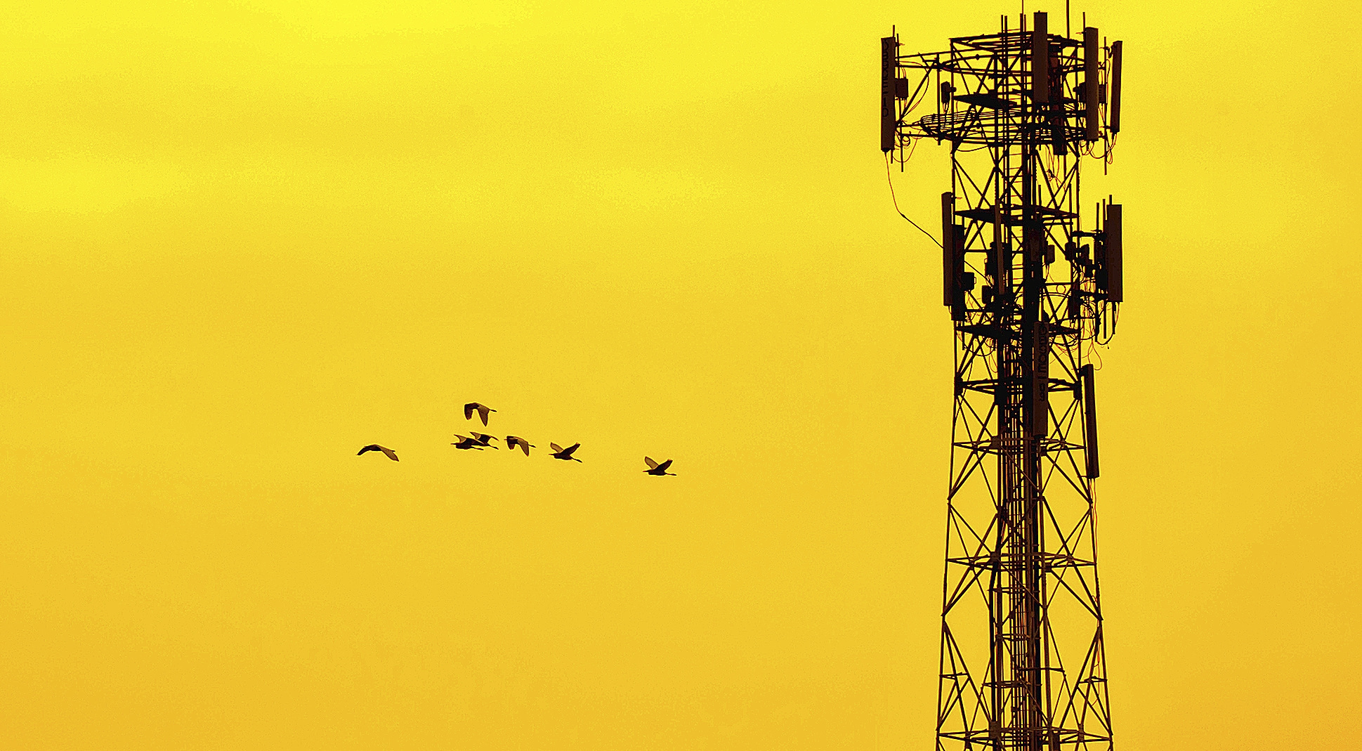 Aparato Que Emite O Recibe Ondas Electromagnéticas