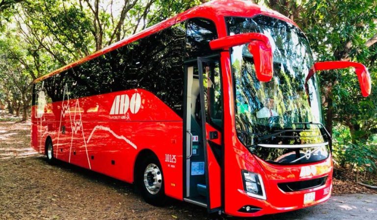 Cuántas horas se viaja en autobús a Cancún desde distintas ciudades 1 autobus viajando por carretera hacia cancun