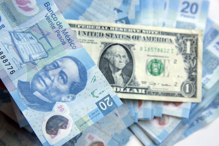 billetes de dolares y pesos mexicanos