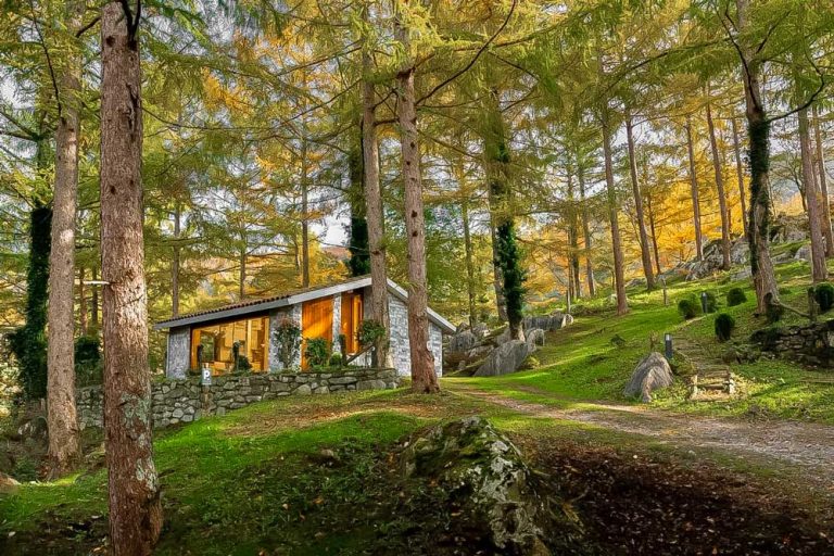 Dónde se encuentran las cabañas del Tío Albert en Cabaña Chueca 43 cabanas en bosque rodeadas de naturaleza