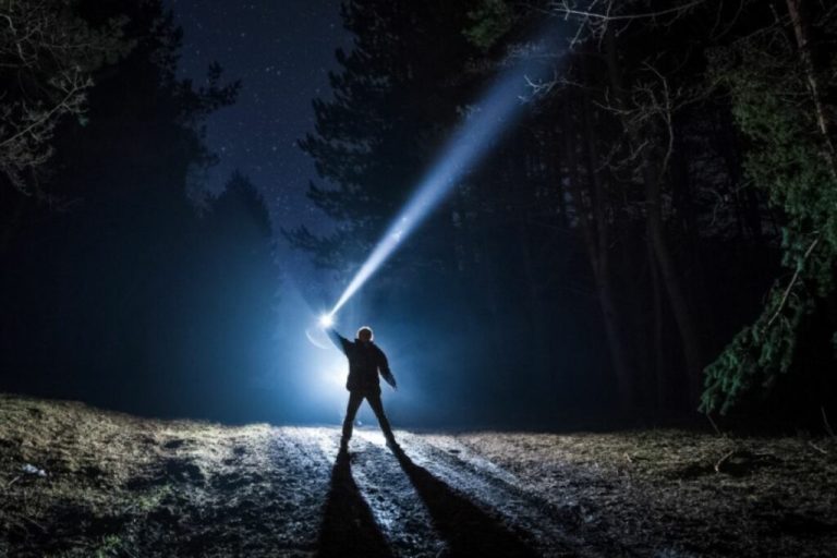 Qué amenazas podrían afectar mi proyecto de vida y cómo enfrentarlas 8 camino en un bosque lleno de incertidumbres