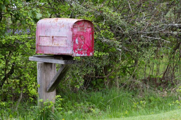 Cuánto tiempo tarda en llegar un correo en Correos de México 24 camino rural con buzon de correo