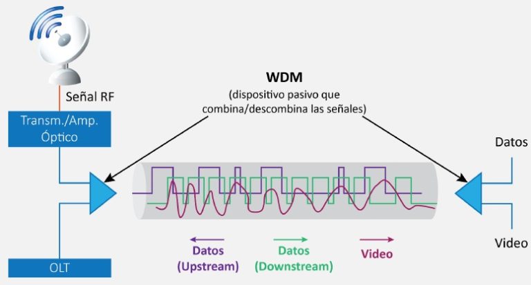 conectores visualizados en una red