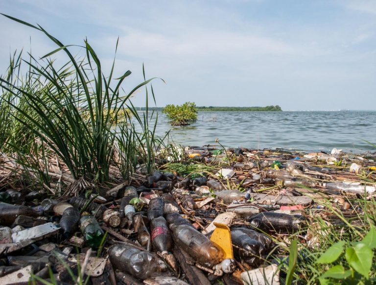 Qué daños o perjuicios puede causar el agua en el medio ambiente 25 contaminacion de rios y lagos