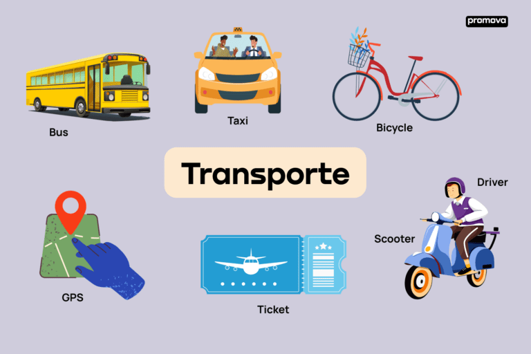Qué frases inspiradoras puedes encontrar sobre medios de transporte 19 diversos medios de transporte en la ciudad