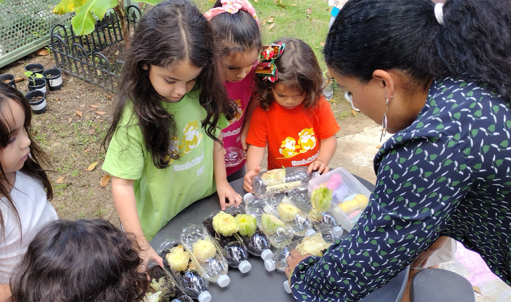 Qué es un máster oficial en seguridad alimentaria a distancia 5 Qué es un máster oficial en seguridad alimentaria a distancia