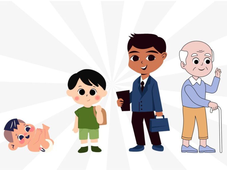 Qué características definen las etapas del ciclo vital humano 4 etapas del ciclo vital humano ilustradas