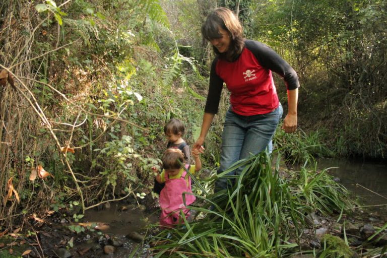 Quiénes son los miembros del grupo legÃtimo que se fue 7 grupo de personas en un entorno natural