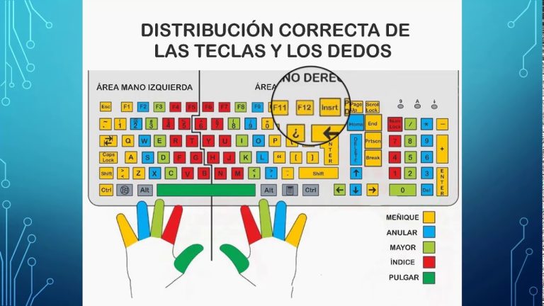 Cómo seleccionar todo el texto en Word fácilmente 29 manos en teclado con word abierto