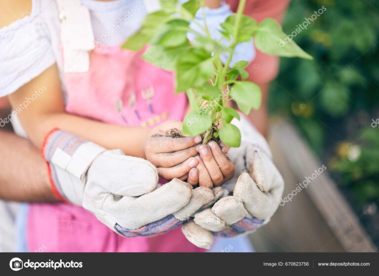 manos sosteniendo productos sostenibles y ecologicos