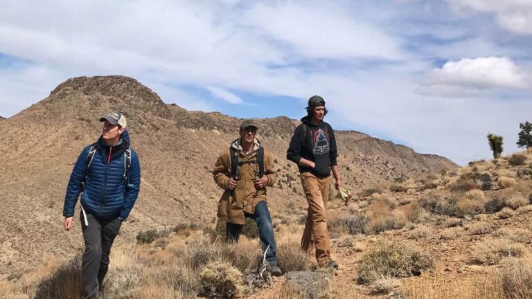 Qué información necesitas sobre Minera Corner Bay y Álamo Dorado 29 mineria en paisajes deserticos