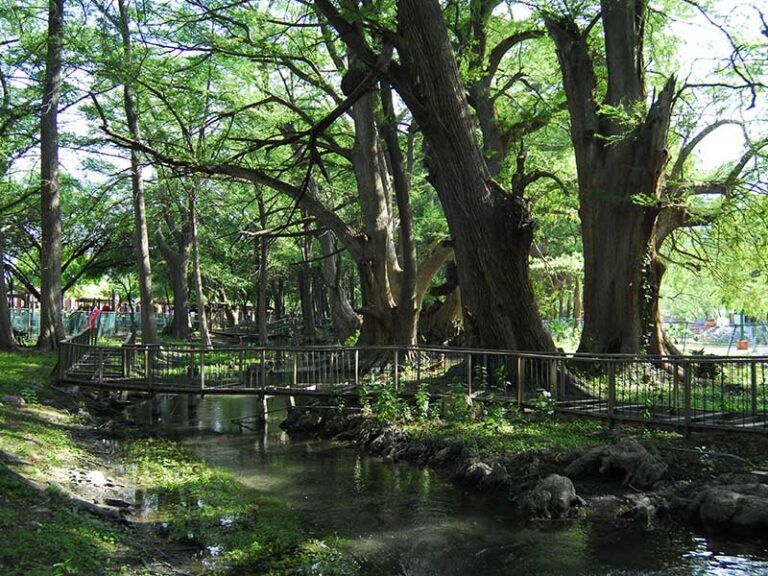 naturaleza y paisajes de cerralvo nuevo leon