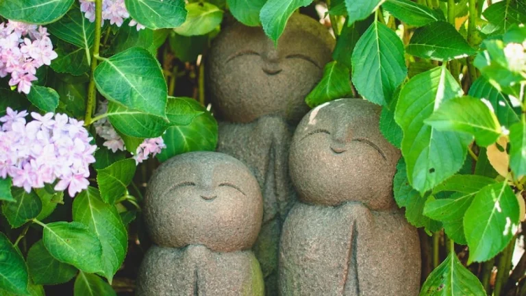 naturaleza y simplicidad en la vida cotidiana
