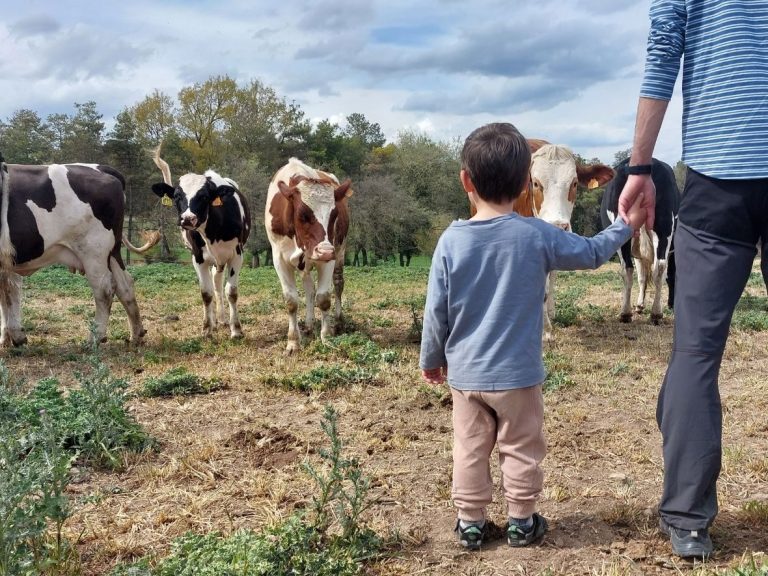 Qué actividades ofrece La Granja del TÃo Pepe en Santa Fe 54 ninos disfrutando de actividades en la granja