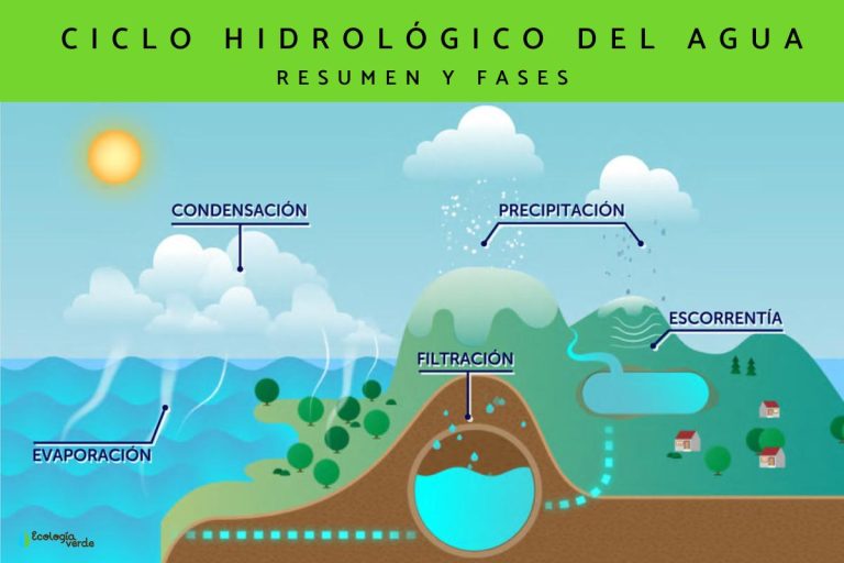 Qué actividades divertidas sobre el ciclo del agua son ideales para niños 8 ninos explorando el ciclo del agua