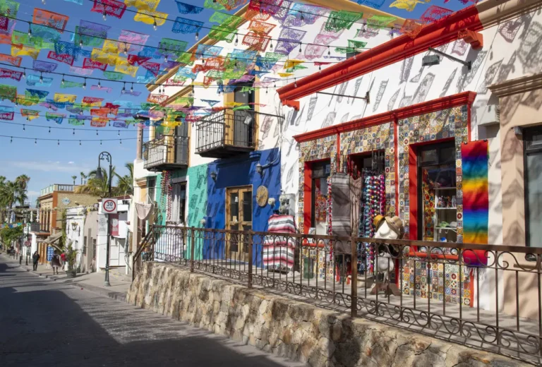 Cuáles son los principales aspectos del Código Civil de Baja California Sur 26 paisaje de baja california sur con libros