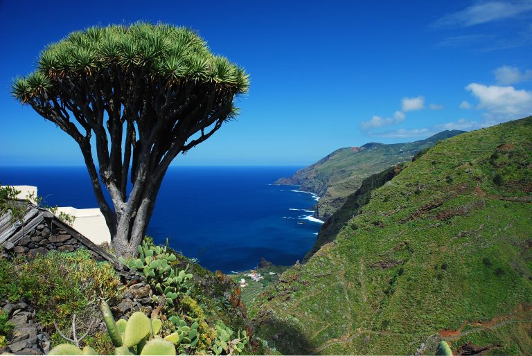 Quién es Jorge Santa Cruz, el consentido de La Palma 55 paisaje de la palma con montanas verdes