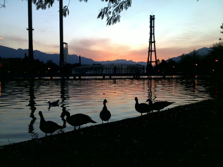Qué actividades divertidas puedo hacer en Monterrey, México 16 parque fundidora al atardecer