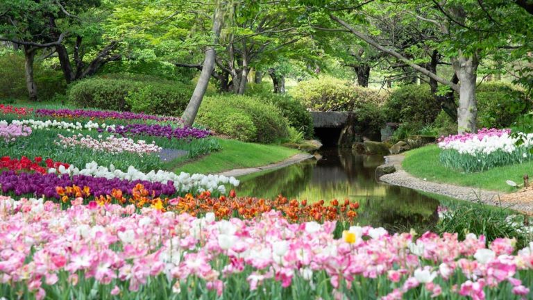 salon jardin con flores y naturaleza