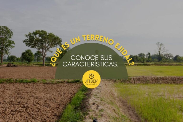 terreno ejidal con casas y naturaleza