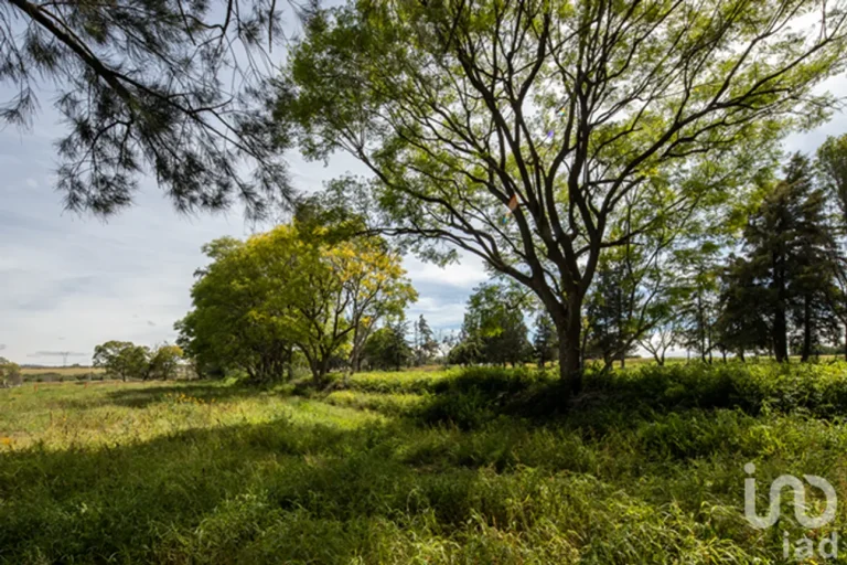 Puedes comprar un terreno con tu crédito Infonavit en México 53 terreno en mexico con paisaje natural