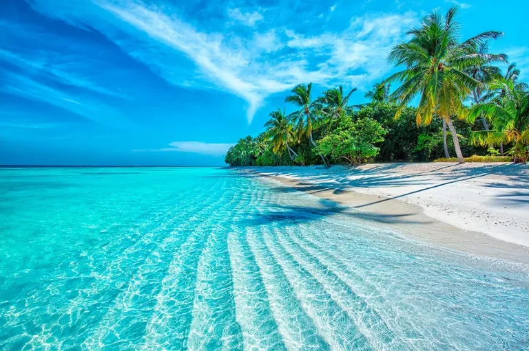 Qué dice la Ley Federal del Trabajo sobre las vacaciones no disfrutadas 5 vacaciones paradisiacas en una playa tranquila